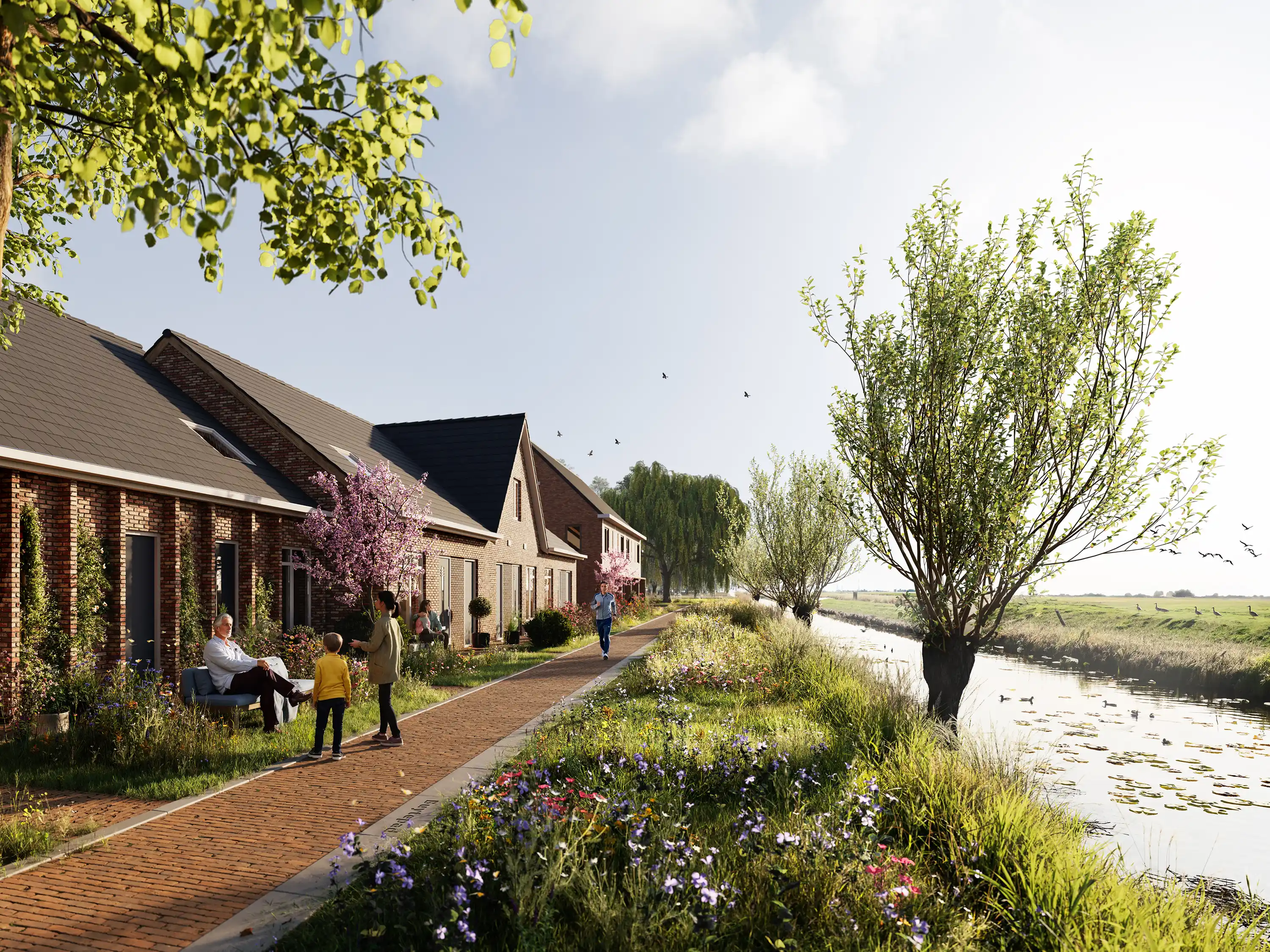Buyteweg eiland 4 011 v04